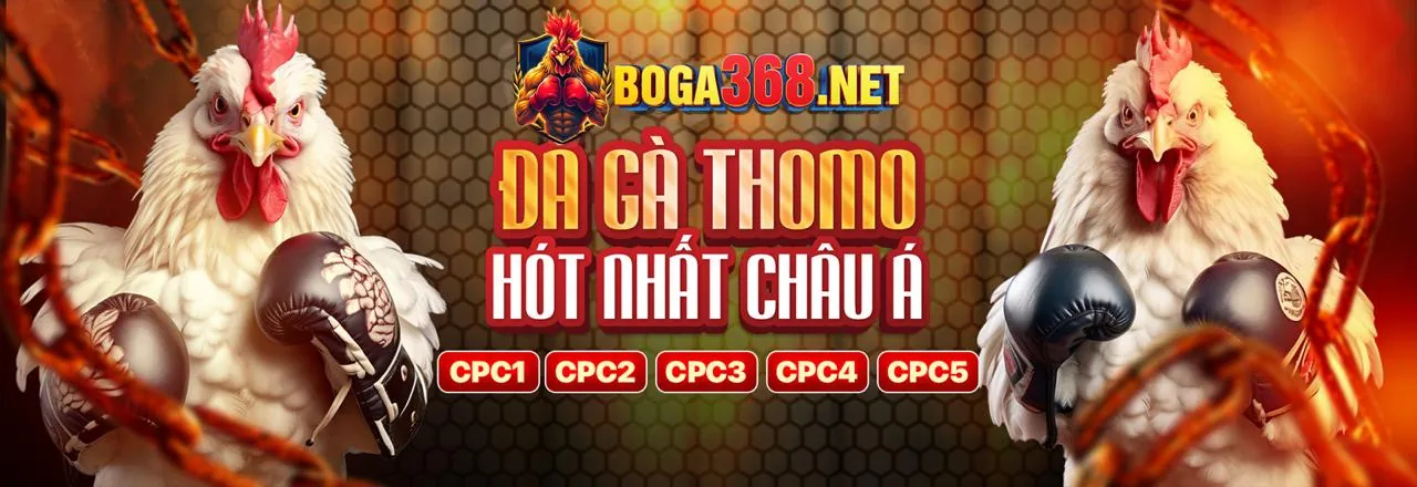 Cách xem đá gà trực tiếp và đặt cược tại GamVip Club